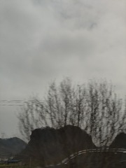 1000053643