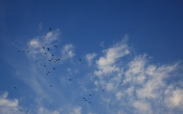 1322307