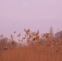 48A65163-CF68-4E64-8756-5E5742897447/L0/001