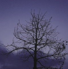 51877604-BA63-4AFA-ADD4-02B0CD1450D3/L0/001