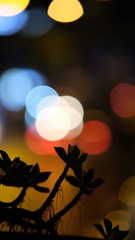 DBE9B639-A1CF-4374-9213-D6533C4EE361/L0/001