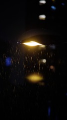 C00BDE4F-15BB-44D6-A906-4324EC10469A/L0/001