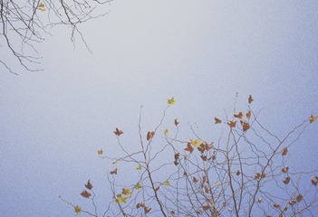 3CEB6125-3D8F-4C0D-A650-B52F75AF4989/L0/001