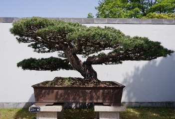 3A5689AB-28BD-4F1C-B7A5-6AF089AACB78/L0/001