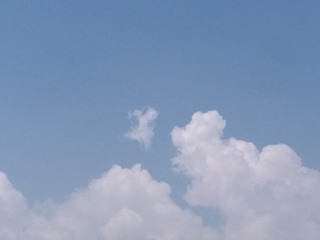 1724016