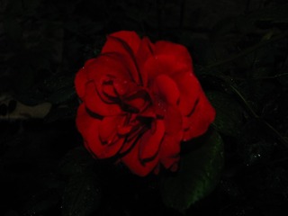 41AA90F8-D36D-4FC8-BF9F-657879B977F5/L0/001