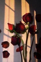 D3A7A604-74CC-4C4E-B4E9-686CEED75EA6/L0/001