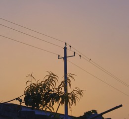 9507EE88-C091-494E-9208-F723B8074568/L0/001