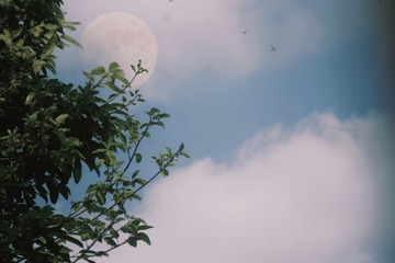 001