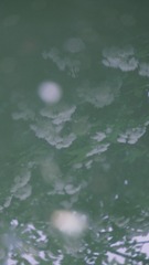 26723A7E-3B39-449F-AEFE-AB754F1B1CC6/L0/001