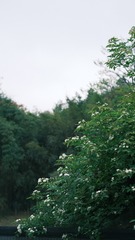 3F986863-0F6F-40B8-9C9E-F4A8B02FF2CB/L0/001