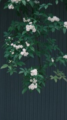 F00EC517-6C96-49F2-AF83-990748A7C036/L0/001