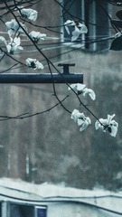 B4DE009C-D1FD-493A-A35D-881C3D12BA3C/L0/001