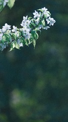 D77A90B2-36E8-460B-81EC-CB9B3B6BF13B/L0/001