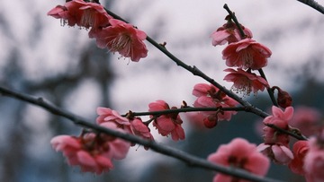 F99BA1A6-8F17-4400-807F-C329593159E1/L0/001