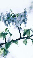 EB9FBDFE-B33A-484A-9D6F-0AB9E11158D5/L0/001