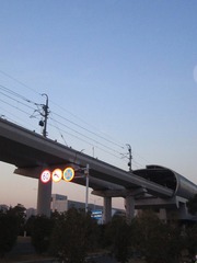 43956