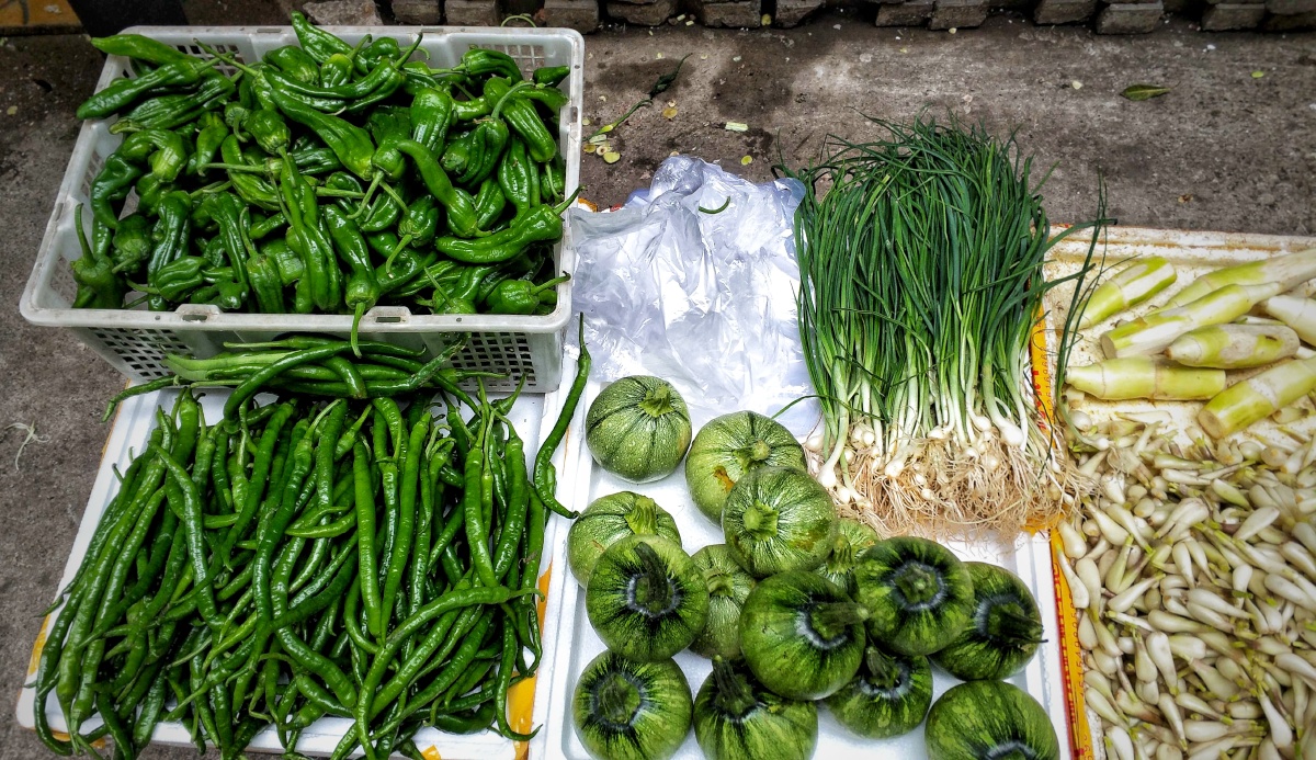地上的菜摊儿新鲜的菜椒二荆条小南瓜圆葱和藠头摆摊儿啦腌藠头和小