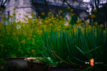 20170318-IMGP1092