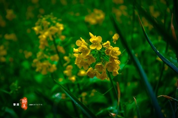 20170318-IMGP1095