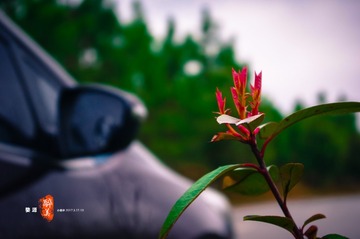 20170318-IMGP1159