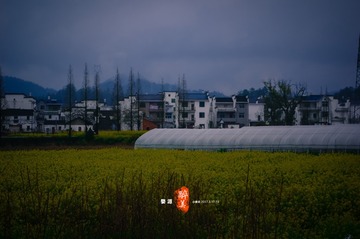 20170318-IMGP1219