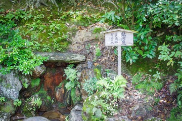 IMGP2152-1
