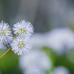 970834