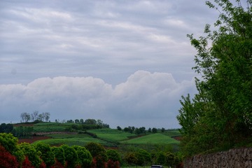 F01348FA-752B-4BE9-B92D-CC1DFB379326/L0/001
