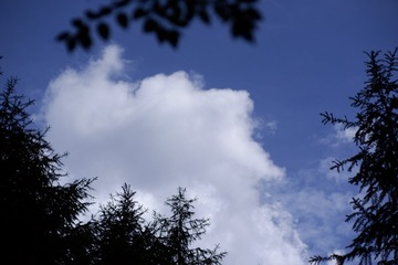 29BC2E19-C90F-4ED4-B9EB-D0E0868D3EB1/L0/001