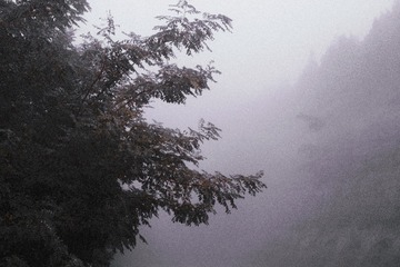 1EDB7A46-E8C6-404F-A67E-6159F915922D/L0/001
