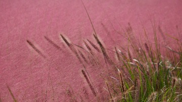 D75581F0-5D9C-4F39-90C1-69738E029CDA/L0/001