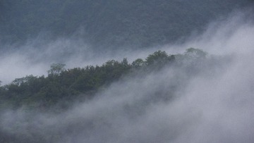 0893D5FF-254C-4109-B2EF-E89FAAF87F59/L0/001