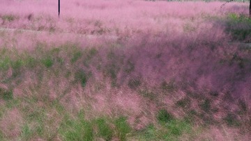 B4E25107-F549-4D32-BBBE-A68E671CA5C6/L0/001