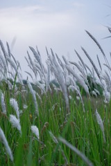3917BF03-B8A3-4F57-AB0E-626C9D54855C/L0/001