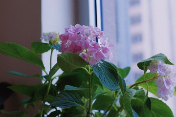 49E00406-7D25-4C6F-90B8-8CED2D13F7F1/L0/001