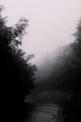B636357B-F2CE-4878-8232-0A398DC0FACF/L0/001