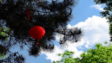 F7B7FF15-DA8D-4647-A359-D9EEAAC92896/L0/001