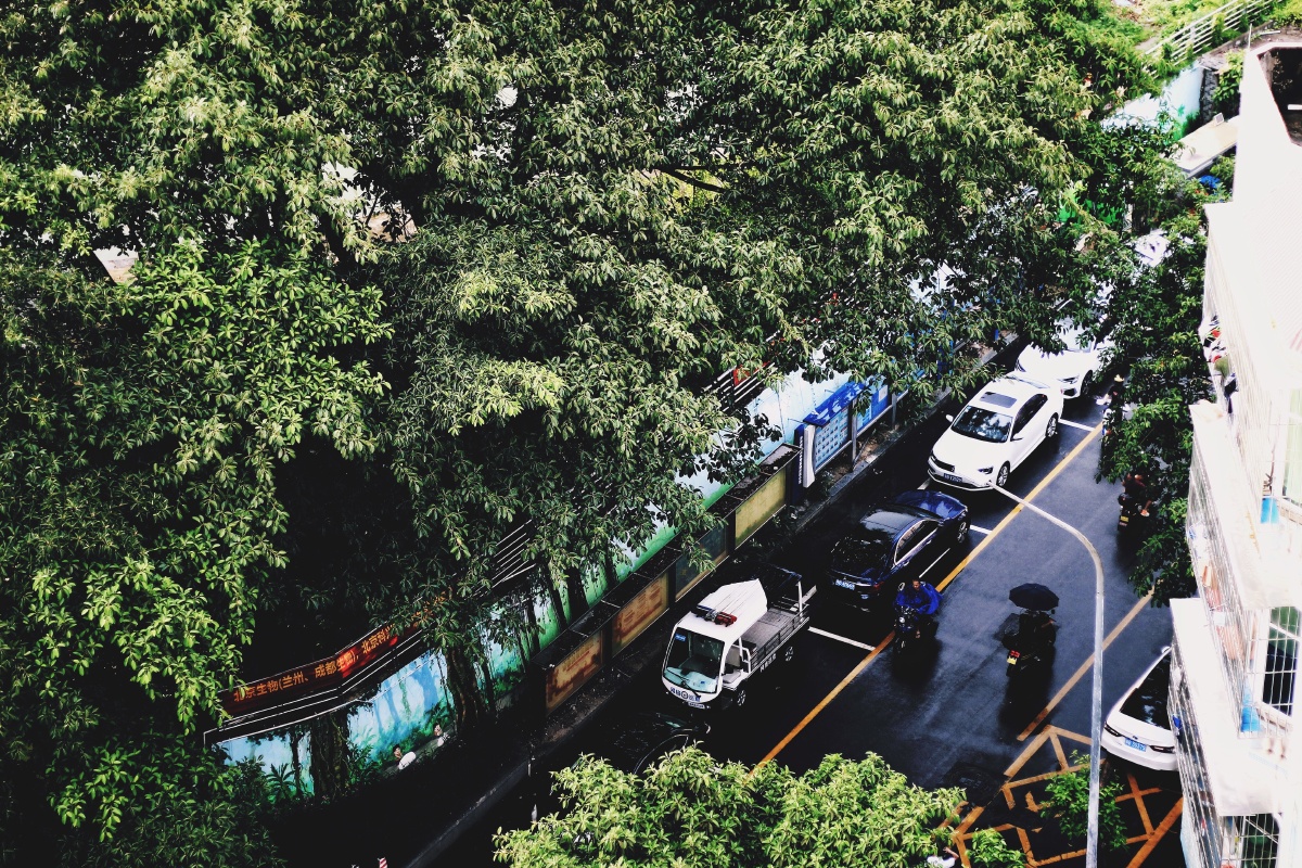 窗外街道的晴天和雨天