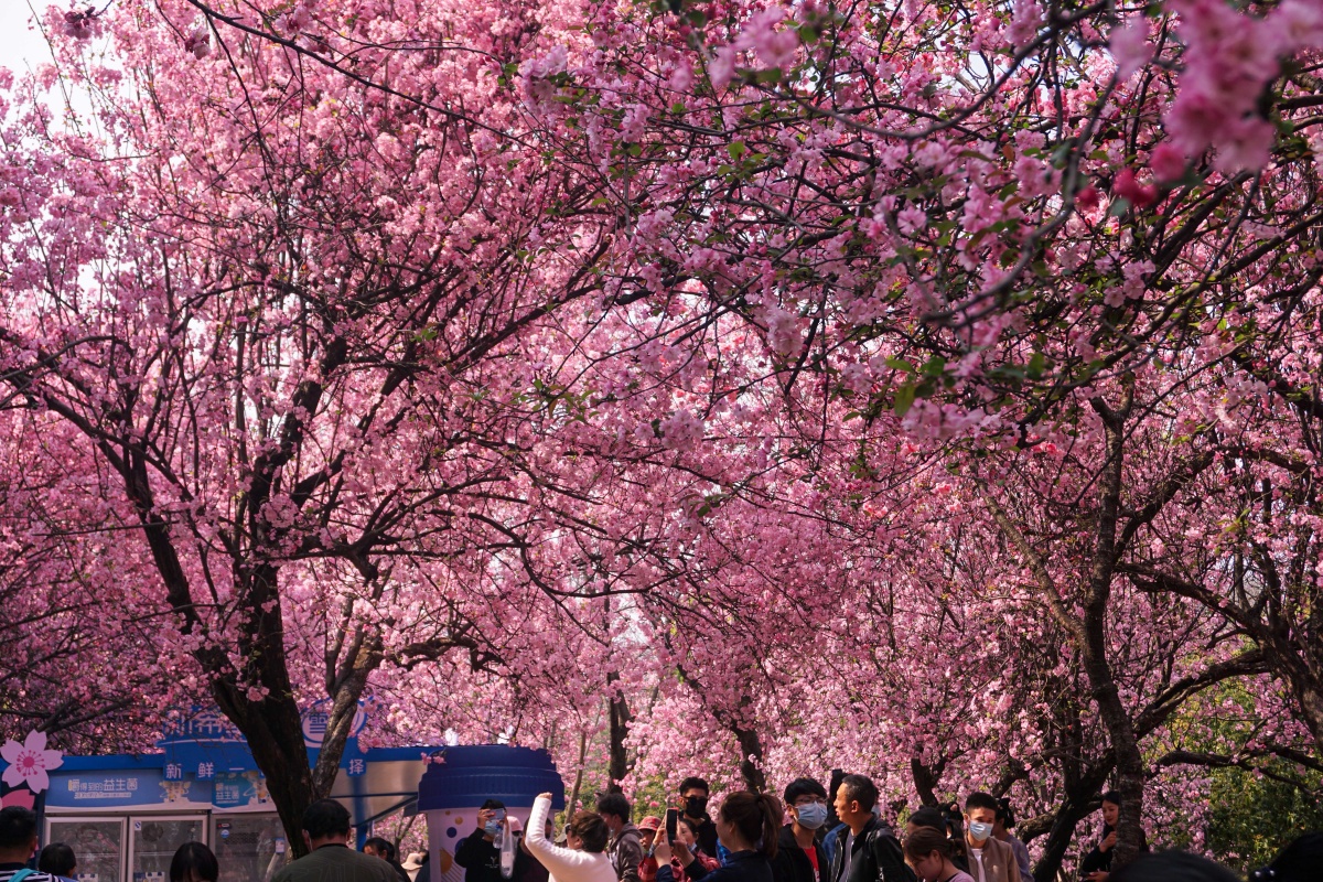 昆明圆通山和圆通寺