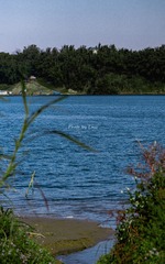E3D9259C-F145-41B5-B42C-6697520247B4/L0/001