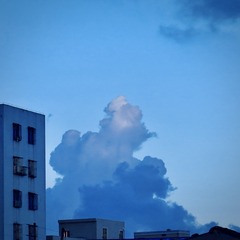 537A32BB-55D1-4343-8DDD-A527524CA52B/L0/001