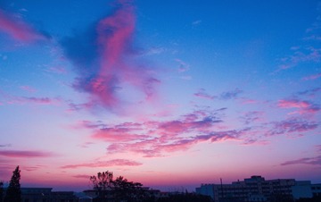 280730