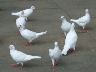 72787