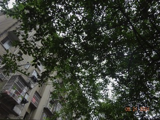 09133652-C039-4586-9C96-2FFF3CC0041A/L0/001