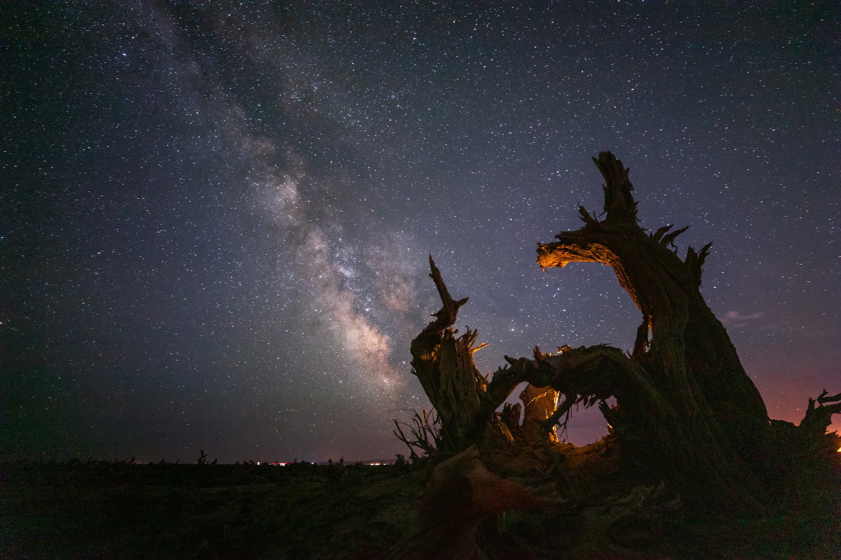 龙文摄影王永辉关注