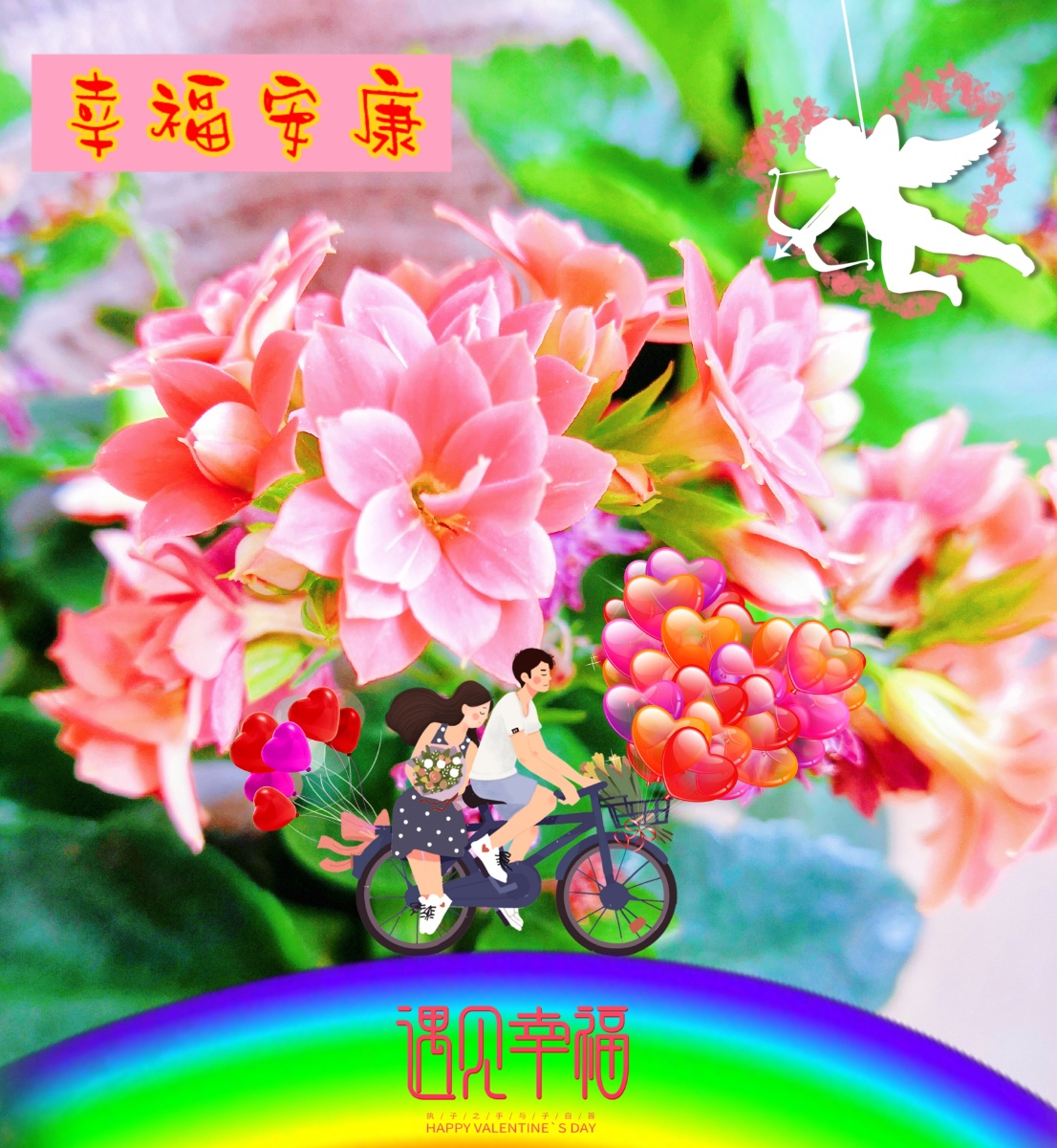 遇见幸福平安喜乐