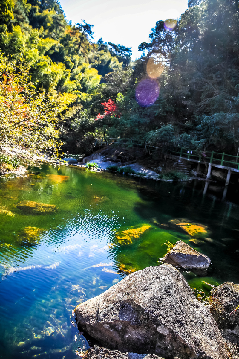 汪胡生态林小溪