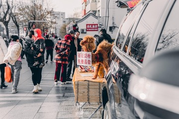 42B1E23D-0EF7-4FA9-9705-538C2F04506B