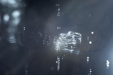 139256